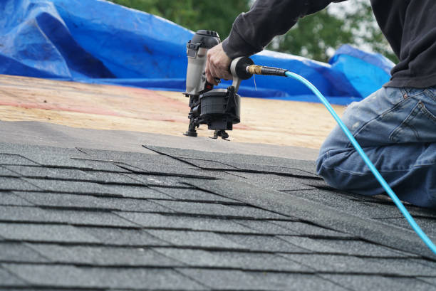 Best Storm Damage Roof Repair  in Dover, OH